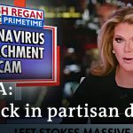 Coronavirus: Will US partisan divide increase the damage? | DW News