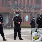 New report supports claim COVID-19 came from Wuhan lab