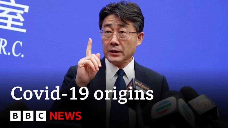 Covid-19: 'Don't rule out lab leak', says former Chinese scientist – BBC News
