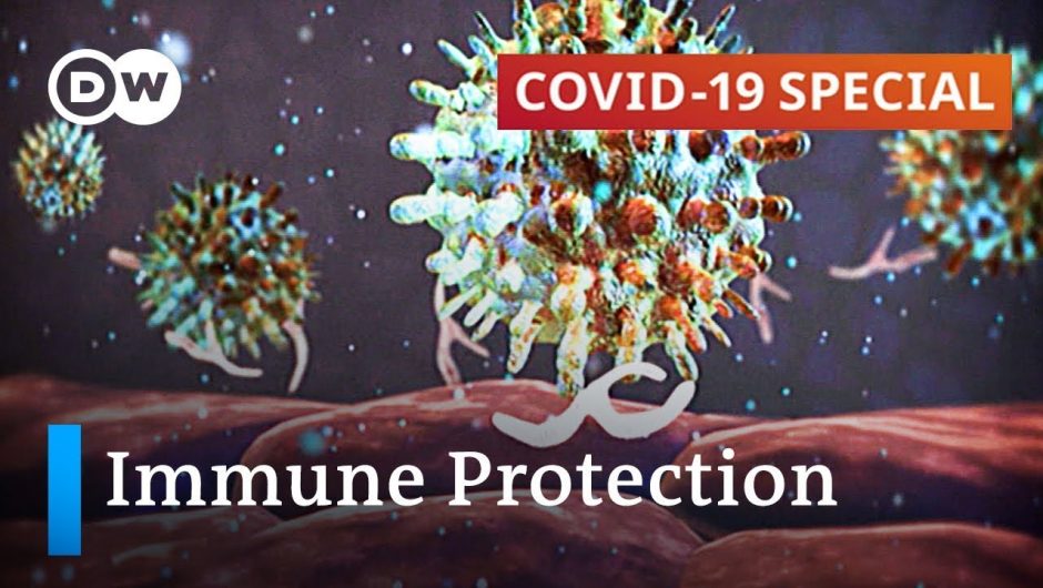 How important is the immune system in protecting against Covid-19? | COVID-19 Special