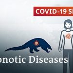 How to prevent the next zoonotic pandemic? | COVID-19 Special