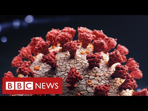 Fears that new Covid variant is more infectious and harder to contain – BBC News